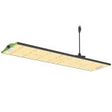 P40004000wledgrowlight1_5d31ea4c-ba79-4744-b446-c3b219f0f3a4_1600x1600
